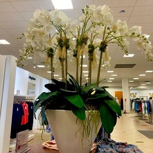 Meet your Posher, Nelva